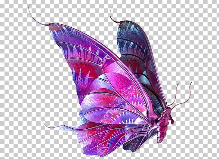 Butterfly PNG, Clipart, Butterfly, Computer Icons, Desktop Wallpaper, Graphic Design, Insect Free PNG Download