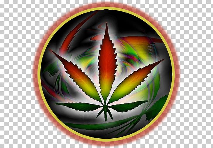 Cannabis Smoking Medical Cannabis Dispensary PNG, Clipart, Cannabis, Cannabis Cultivation, Cannabis Shop, Cannabis Smoking, Desktop Wallpaper Free PNG Download