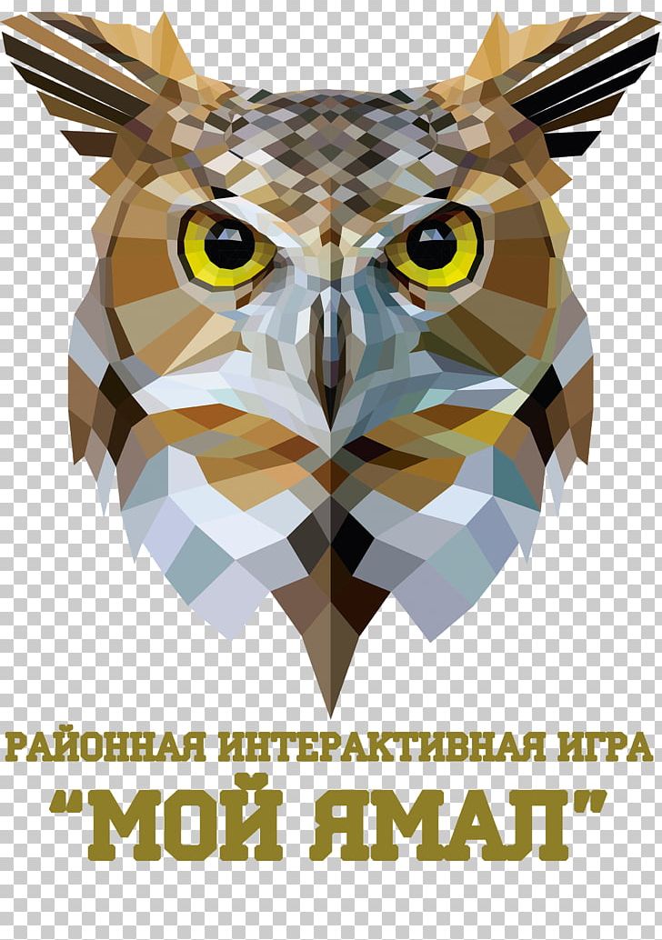 Owl Graphics Illustration PNG, Clipart, Animals, Beak, Bird, Bird Of Prey, Fauna Free PNG Download