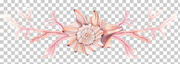 Painting Plant PNG, Clipart, Botany, Branch, Color, Conch, Cut Flowers Free PNG Download
