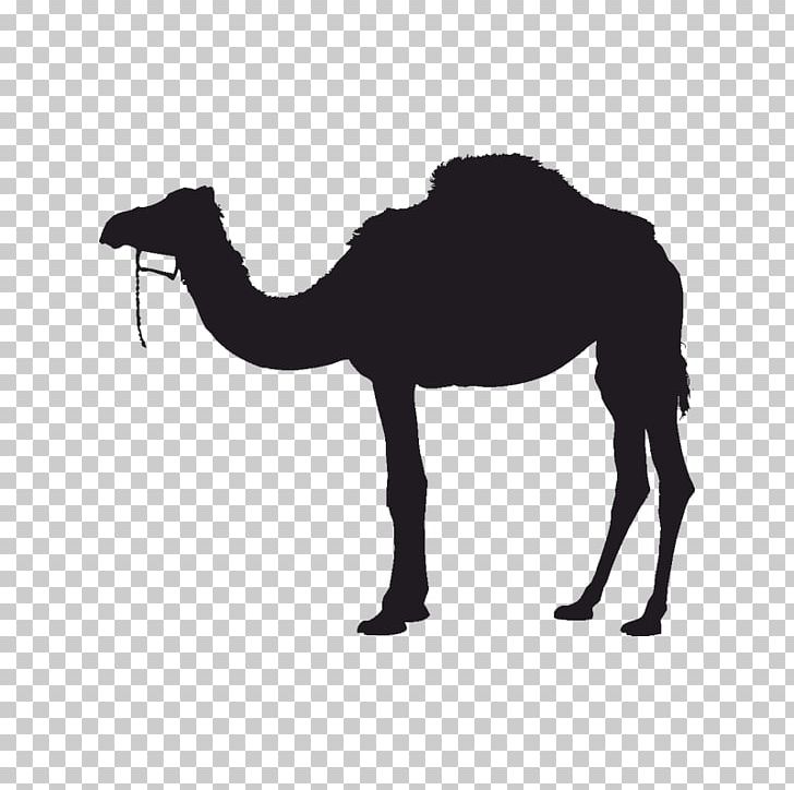 Bactrian Camel Dromedary Silhouette PNG, Clipart, Animals, Arabian Camel, Art, Bactrian Camel, Black And White Free PNG Download