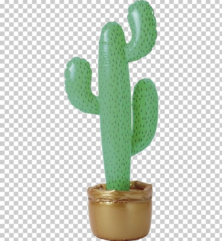 Cactaceae Inflatable Costume Succulent Plant Inflatable Costume PNG, Clipart, Ball, Barbary Fig, Beach Ball, Cactaceae, Cacto Free PNG Download