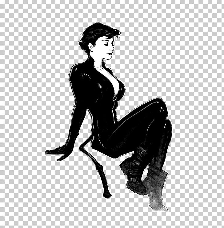 Catwoman Batman Comics Artist Comic Book Png Clipart Adam Adam Hughes Anne Hathaway Art