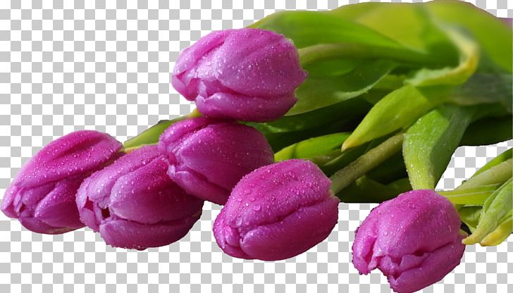 Flower Bouquet Desktop Tulip Display Resolution PNG, Clipart, 720p, 1080p, Aspect Ratio, Desktop Wallpaper, Display Resolution Free PNG Download