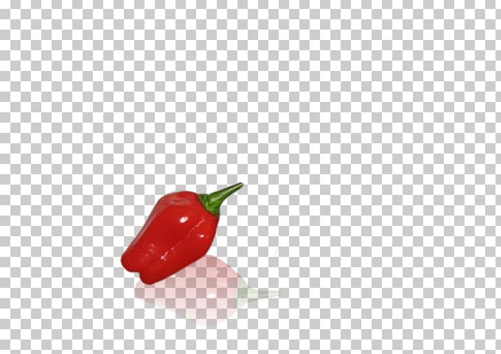 Habanero Bird's Eye Chili Serrano Pepper Tabasco Pepper Cayenne Pepper PNG, Clipart,  Free PNG Download