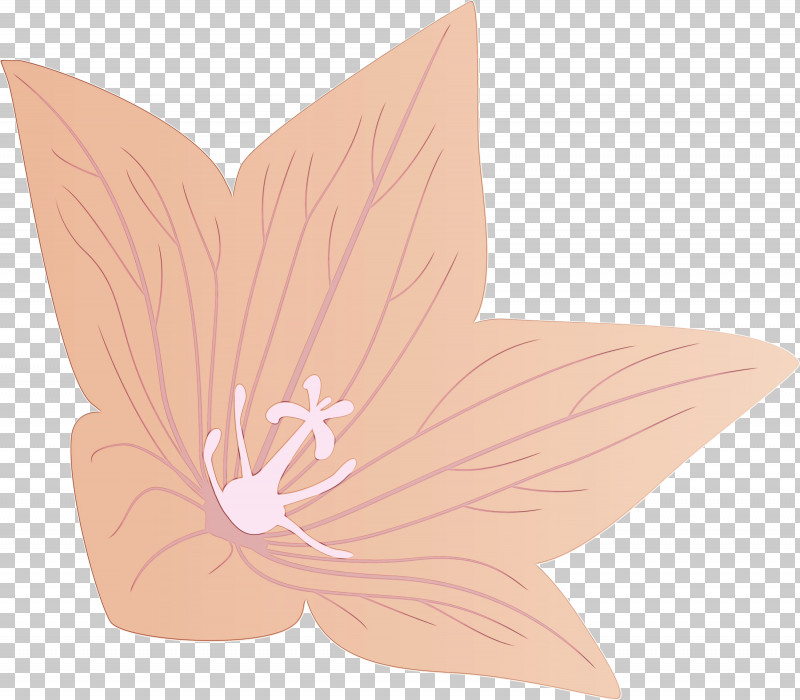 Flower Petal PNG, Clipart, Balloon Flower, Flower, Paint, Petal, Watercolor Free PNG Download