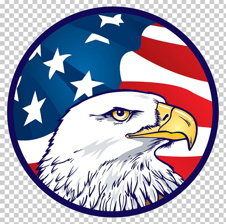 Bald Eagle Flag Of The United States American Eagle Outfitters PNG, Clipart, American Eagle Outfitters, Bald Eagle, Beak, Eagle, Flag Eagle Free PNG Download