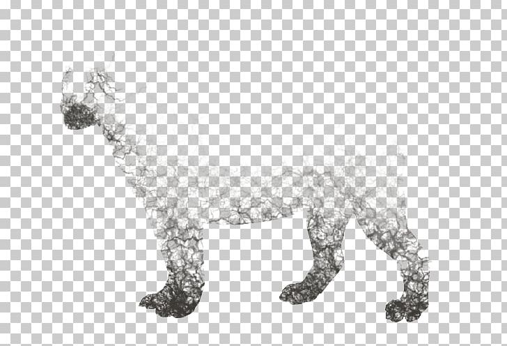 Cat Dog Mammal Drawing Carnivora PNG, Clipart, Animal, Animals, Art, Big Cat, Big Cats Free PNG Download