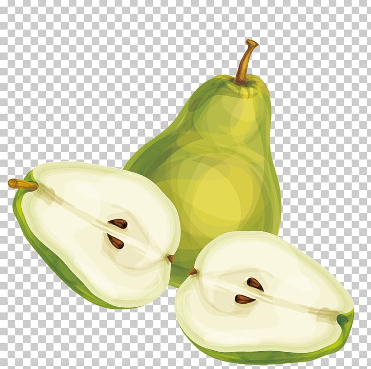 Pear PNG, Clipart, Apple, Decoration, Download, Euclidean Vector, Food Free PNG Download
