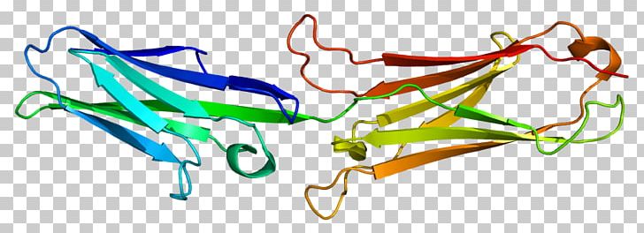 VCAM-1 Cell Adhesion Molecule Addressin Protein PNG, Clipart, Addressin, Adhesion, Antibody, Cd34, Cd154 Free PNG Download