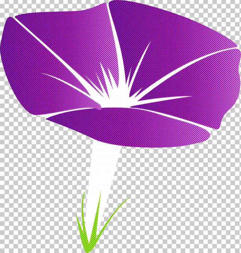 Morning Glory Flower PNG, Clipart, Flower, Leaf, Logo, Morning Glory, Morning Glory Flower Free PNG Download