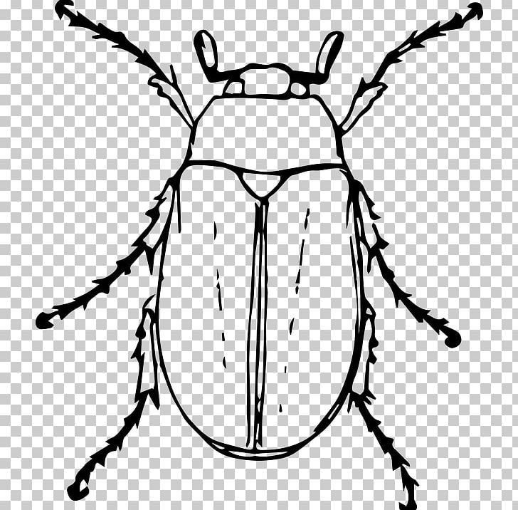 Beetle Drawing Cockchafer PNG, Clipart, Animals, Artwork, Beetle, Beetle Bug, Black And White Free PNG Download