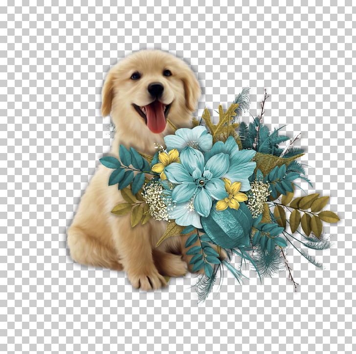 Golden Retriever Puppy Sporting Group PNG, Clipart, Animal, Animals, Blume, Canidae, Carnivora Free PNG Download