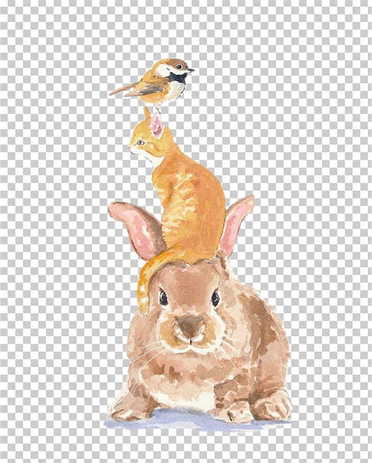 Rabbit Bird Tiger Cat Illustration PNG, Clipart, Animals, Art, Cartoon, Cat, Drawing Free PNG Download