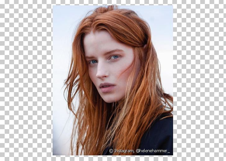 Brown Hair Red Hair Blond Hair Coloring Chestnut PNG, Clipart, Beauty, Black Hair, Blond, Box Braids, Brown Hair Free PNG Download