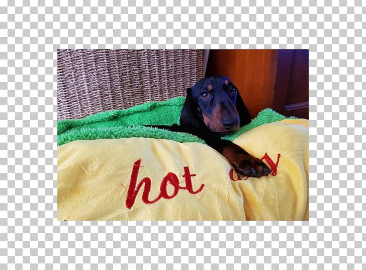 Dog Breed Dachshund Puppy Hot Dog Bed PNG, Clipart, Art, Art Museum, Bed, Blanket, Breed Free PNG Download