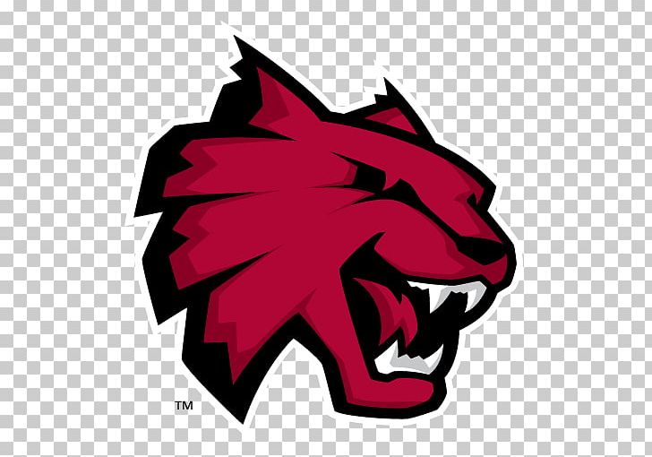 Central Washington University Montana State University Billings Highline College Central Washington Wildcats Football PNG, Clipart, Art, Campus, Central Washington University, Central Washington Wildcats, Fictional Character Free PNG Download