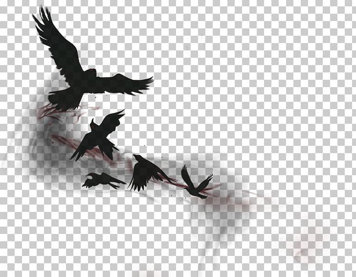 League Of Legends Crow Bird Common Raven PNG, Clipart, Beak, Bird, Bird Of Prey, Common Raven, Computer Wallpaper Free PNG Download