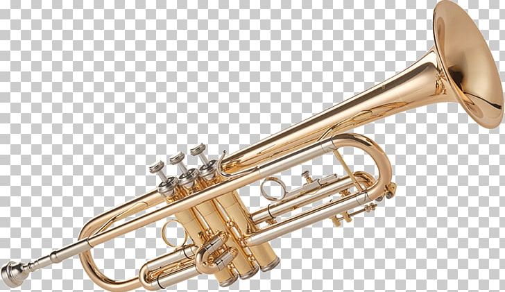 Trumpet Musical Instruments Wind Instrument Brass Instruments PNG, Clipart, Alto Horn, Brass, Brass Instrument, Brass Instruments, Bugle Free PNG Download
