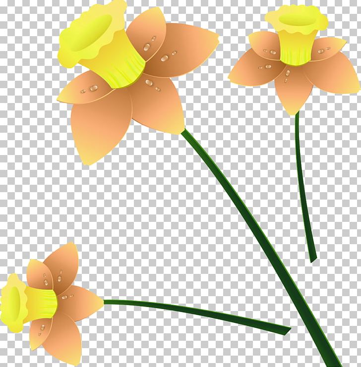 Willow Diary Palm Sunday PNG, Clipart, Cut Flowers, Daffodil, Diary, Easter, Flower Free PNG Download