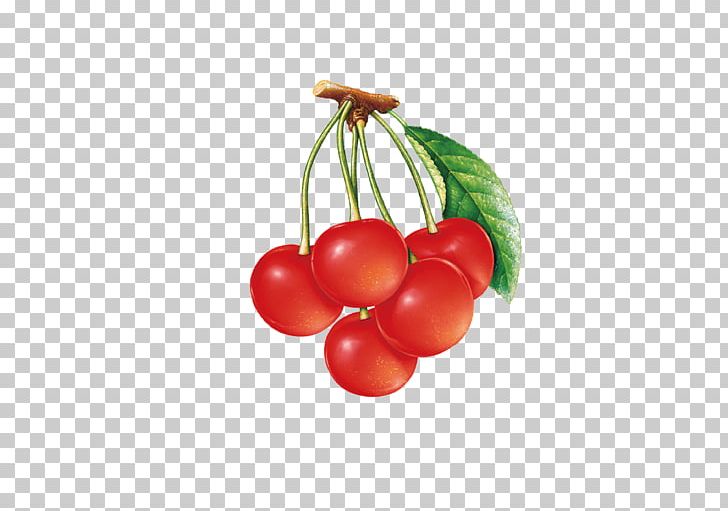 Cherry Cranberry PNG, Clipart, Aperture, Auglis, Autofocus, Berry, Cherries Free PNG Download