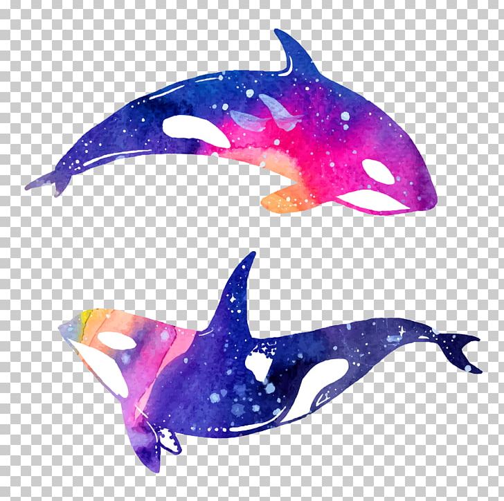 Dolphin Watercolor Painting Illustration PNG, Clipart, Animals, Art, Blue, Cartoon, Fish Free PNG Download