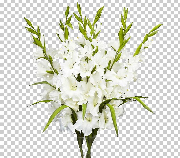 Floral Design Flower Bouquet Gladiolus White PNG, Clipart, Branch, Color, Cut Flowers, Dendrobium, Floral Design Free PNG Download