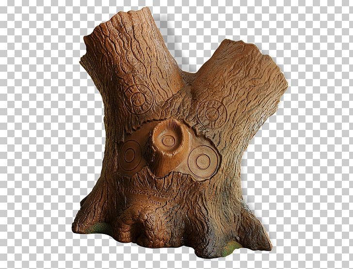 Trunk Tree Stump Target Archery PNG, Clipart, Anatomy, Archery, Arrow, Celebrity, Drain Free PNG Download