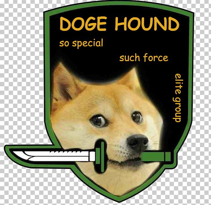 Shiba Inu Doge Foxhound Gun Dog PNG, Clipart, Carnivoran, Dog, Dog Breed, Dog Breed Group, Doge Free PNG Download