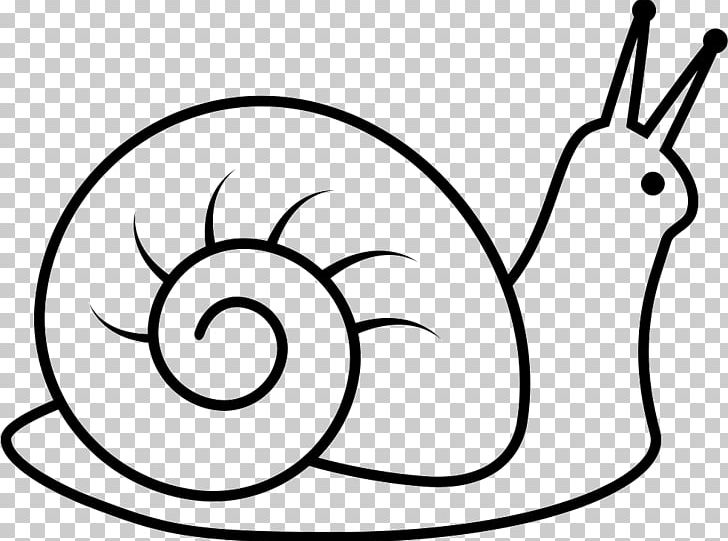 Snail Drawing Graphics PNG, Clipart, Animals, Art, Artwork, Black And White, Color Free PNG Download
