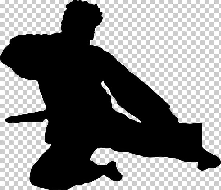 Karate Silhouette Martial Arts PNG, Clipart, Black, Black And White, Decal, Hand, Human Behavior Free PNG Download