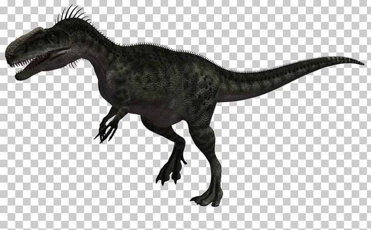 Tyrannosaurus Monolophosaurus Allosaurus Dilophosaurus Velociraptor PNG, Clipart, Allosauridae, Allosaurus, Animal Figure, Bipedalism, Carnosauria Free PNG Download