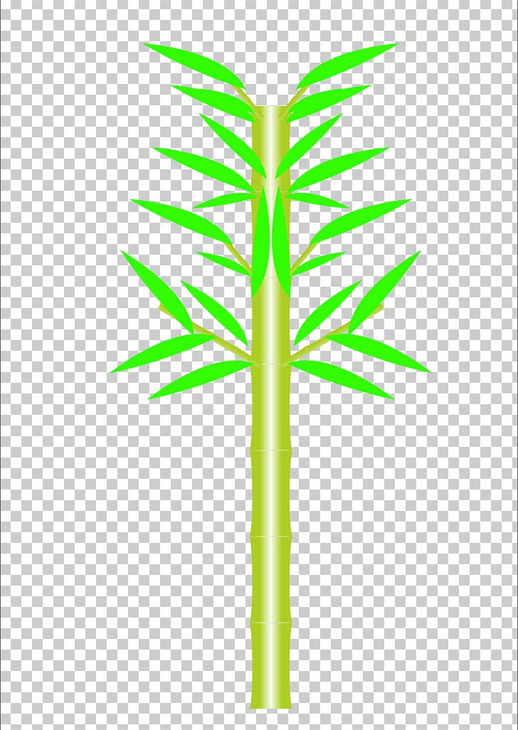 Bamboo PNG, Clipart, Angle, Bamboe, Bamboo, Bamboo Leaves, Bamboo Tree Free PNG Download