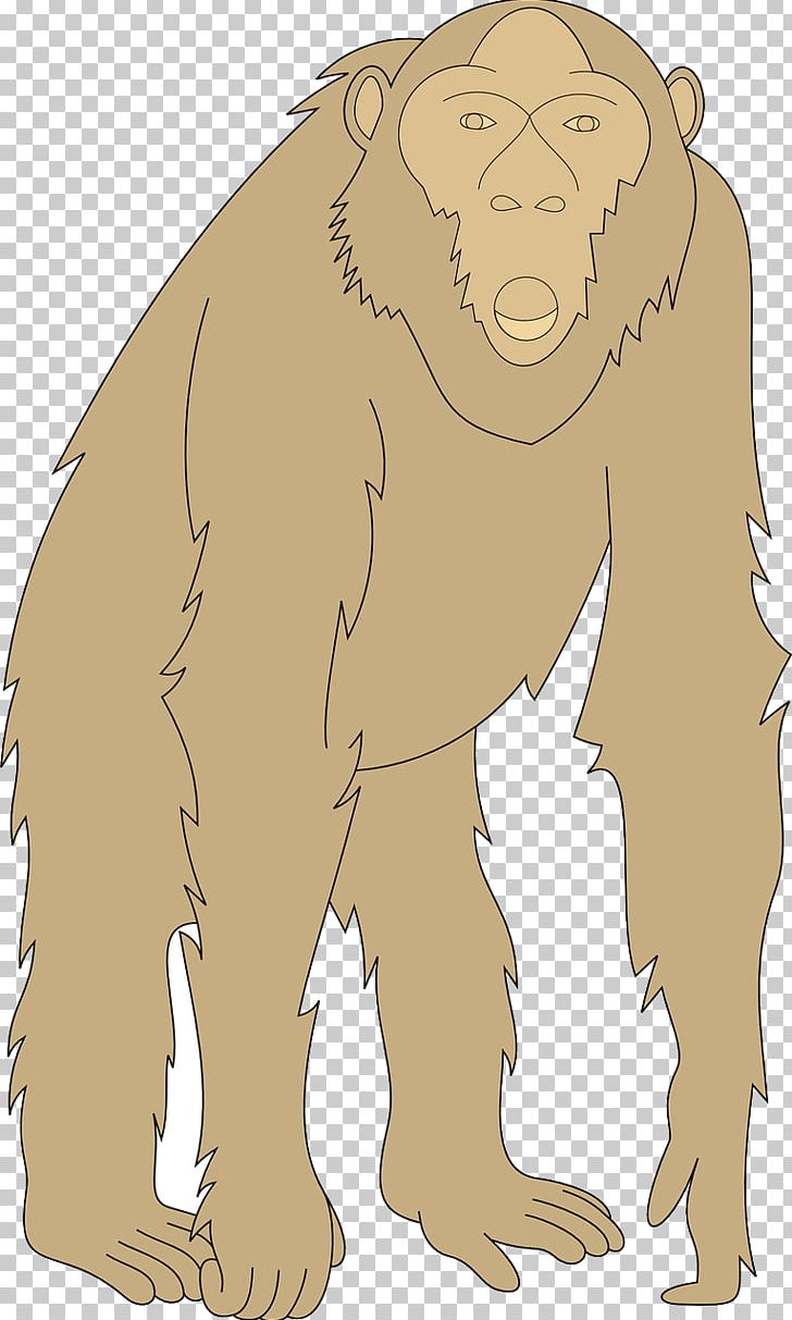 Gorilla Orangutan Homo Sapiens Illustration PNG, Clipart, Animal, Animals, Arm, Art, Bear Free PNG Download
