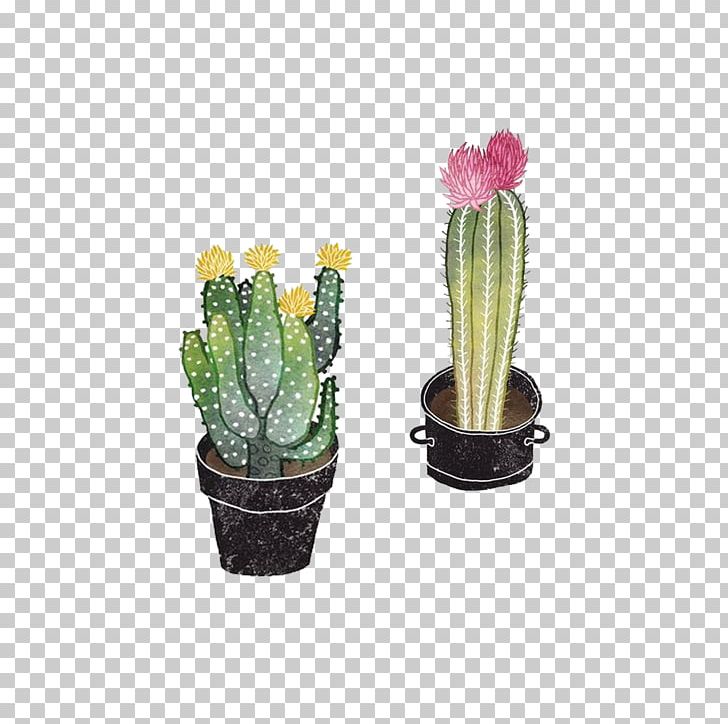 Opuntioideae Succulent Plant Drawing Illustration PNG, Clipart, Cactaceae, Cactus, Caryophyllales, Echinopsis Oxygona, Euclidean Vector Free PNG Download