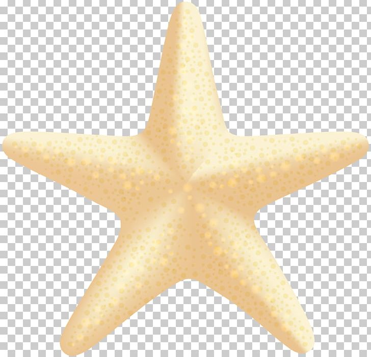 Starfish PNG, Clipart, Beach, Clipart, Clip Art, Download, Echinoderm Free PNG Download