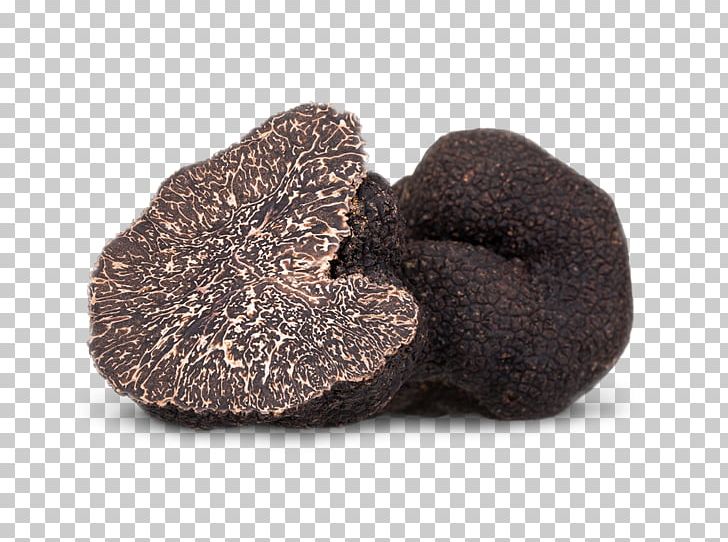 Chocolate Truffle Tuber Aestivum Edible Mushroom Piedmont White Truffle PNG, Clipart, Chocolate Truffle, Edible Mushroom, Foie Gras, Fur, Gourmet Free PNG Download