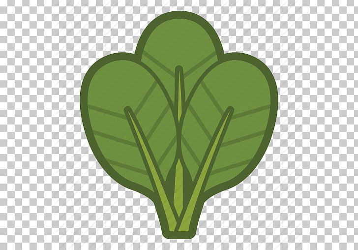 Organic Food Spinach Leaf Vegetable Computer Icons PNG, Clipart, Beetroot, Cabbage, Computer Icons, Food, Food Drinks Free PNG Download
