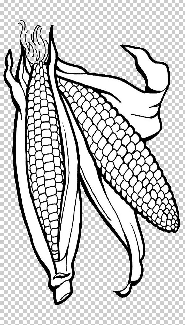 Corn On The Cob Coloring Book Candy Corn Maize Popcorn PNG, Clipart, Arm, Art, Artwork, Black And White, Candy Corn Free PNG Download