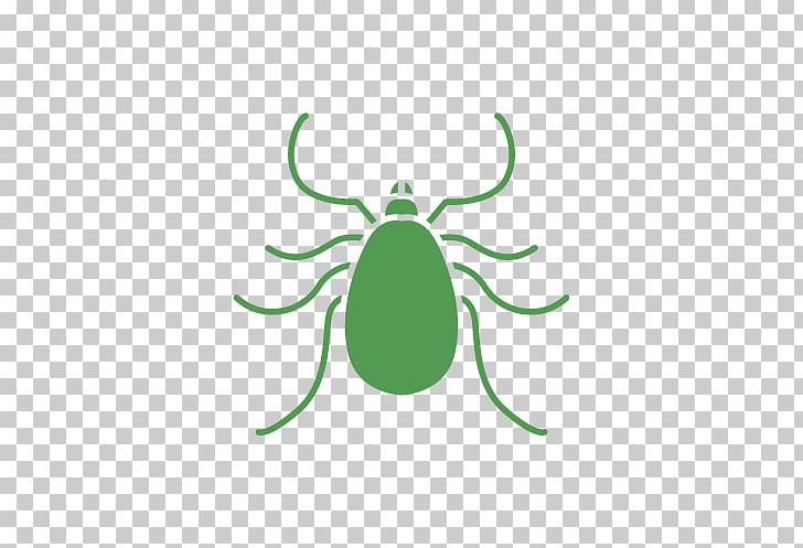 Insect Green Pollinator Line PNG, Clipart, Animals, Artwork, Circle, Green, Insect Free PNG Download