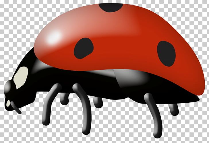 Insect Ladybird Cartoon PNG, Clipart, Animals, Bicycle Helmet, Bicycles Equipment And Supplies, Cartoon, Coccinella Septempunctata Free PNG Download