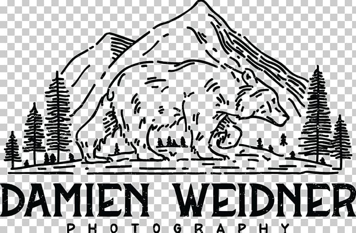 Wedding Photography Lancaster Photographer PNG, Clipart, Area, Art, Artwork, Black And White, Brand Free PNG Download