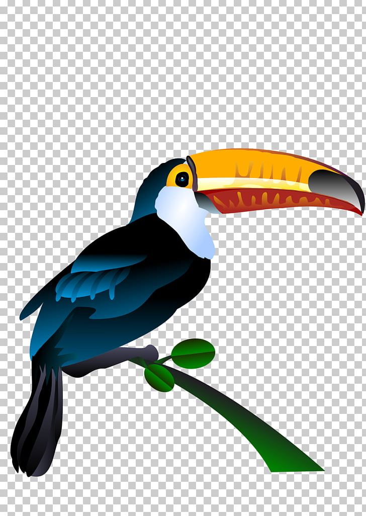 Toucan PNG, Clipart, Beak, Bird, Drawing, Line Art, Miscellaneous Free PNG Download