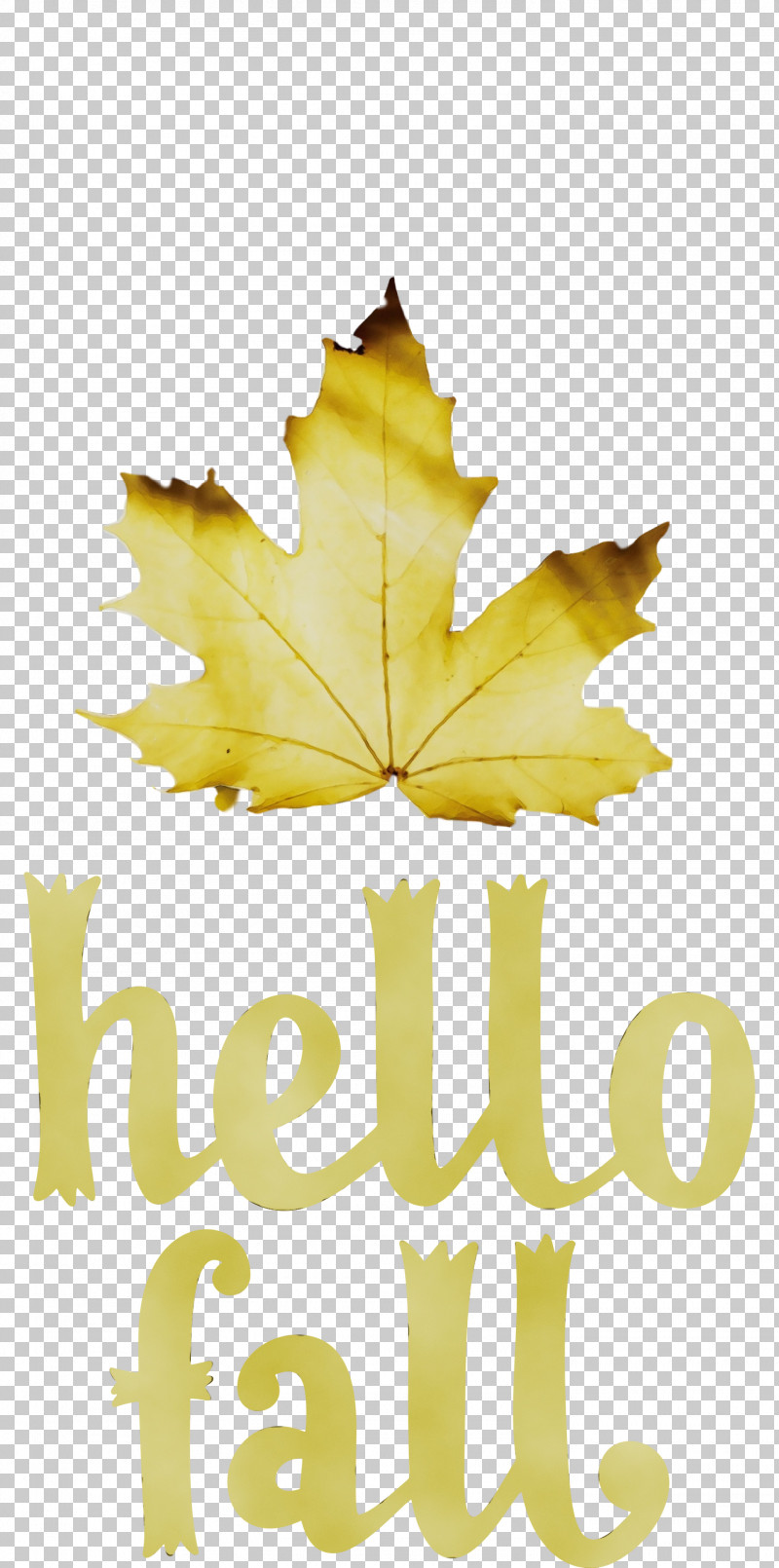 Leaf Maple Leaf / M Yellow Font Tree PNG, Clipart, Autumn, Biology, Fall, Hello Fall, Leaf Free PNG Download