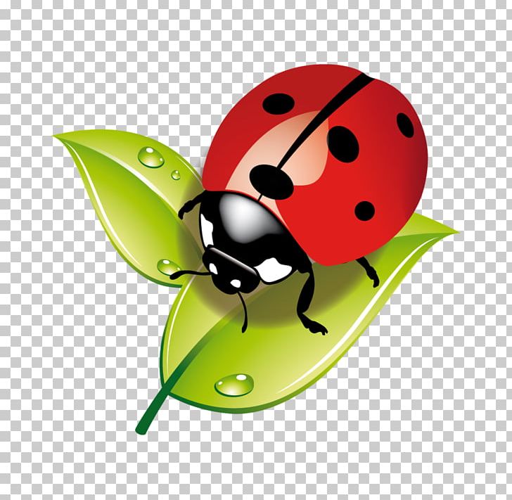 Insect Ladybird Child Aphid Ecology PNG, Clipart, Animal, Animals, Aphid, Asilo Nido, Beetle Free PNG Download