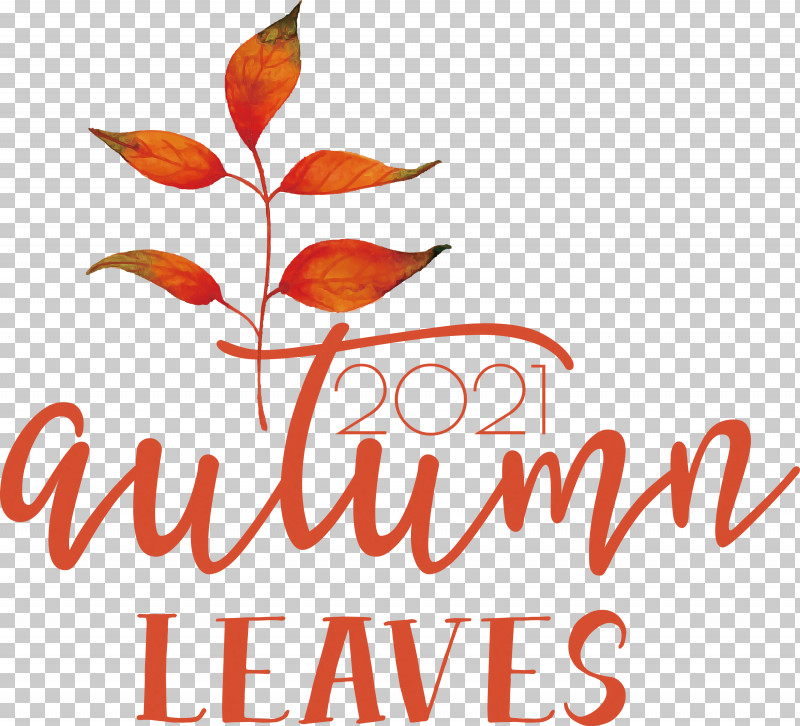 Autumn Leaves Autumn Fall PNG, Clipart, Autumn, Autumn Leaves, Biology, Branching, Fall Free PNG Download