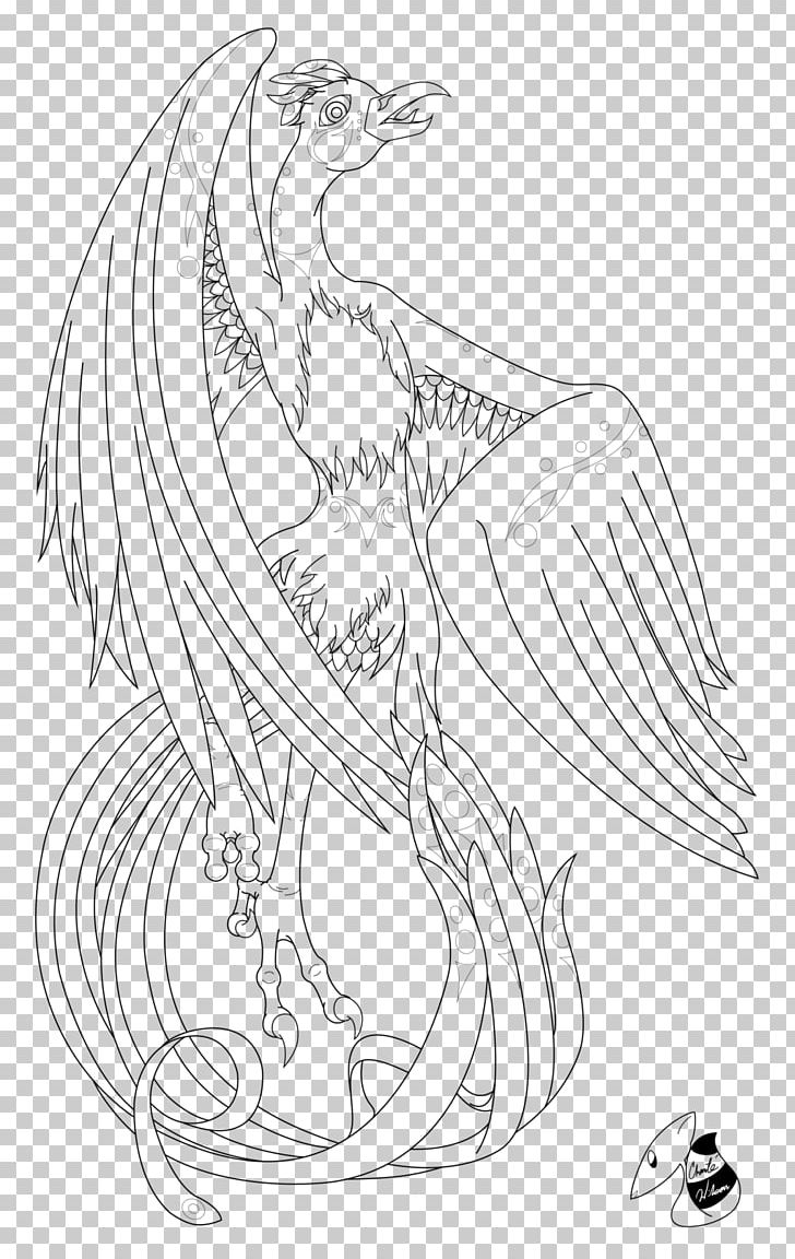 Line Art Drawing PNG, Clipart, Arm, Art, Artwork, Beak, Black And White Free PNG Download