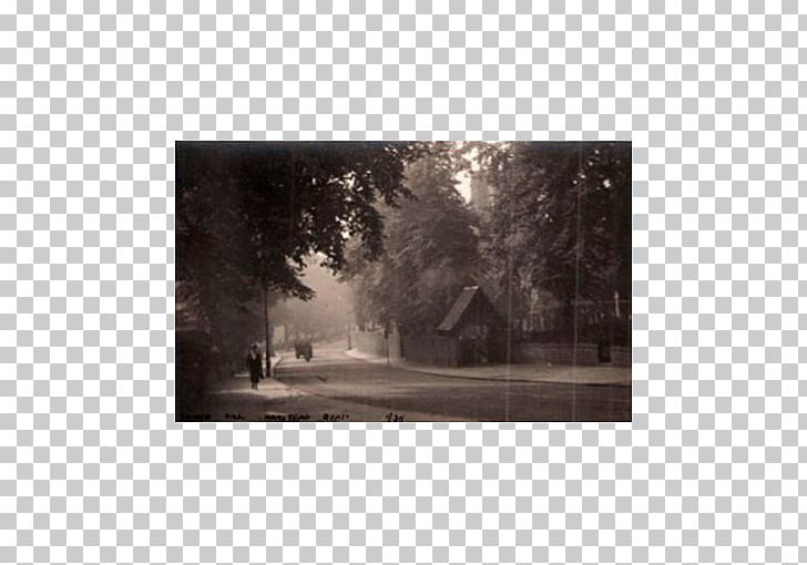 Hampstead Heath Frames Photography PNG, Clipart, 2017, Hampstead, Hampstead Heath, Hendon, Menu Free PNG Download