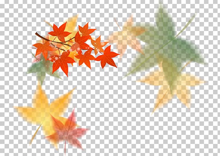 euclidean maple leaf png clipart background vector cdr computer wallpaper fall leaves free logo design template euclidean maple leaf png clipart