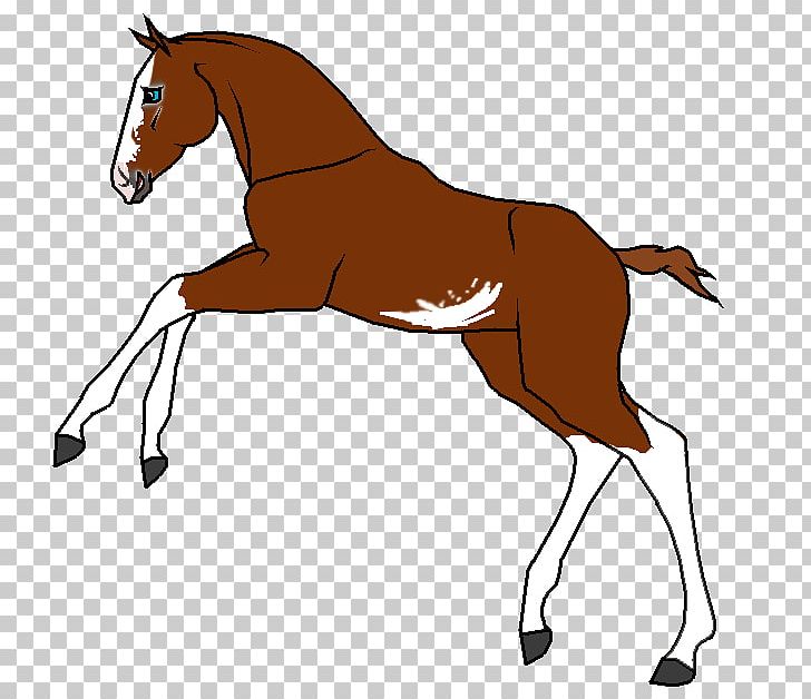 Foal Mane Stallion Mare Colt PNG, Clipart, Animal, Bridle, Colt, English Riding, Equestrian Free PNG Download